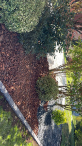 Photo de galerie - Paysagiste - Aménagement du jardin