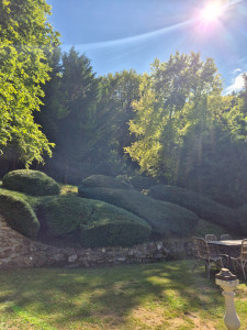 Photo de galerie - Elagage et coupe d'arbres