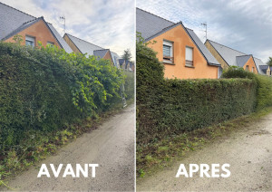 Photo de galerie - Taille