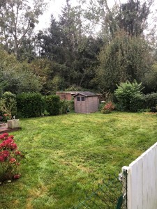 Photo de galerie - Tonte 