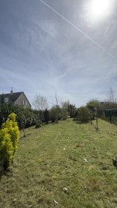 Photo de galerie - Tonte de pelouse - Débroussaillage