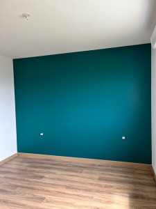 Photo de galerie - Peinture couleur 