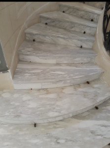 Photo de galerie - Renovation d escalier marbre