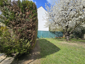 Photo de galerie - Taille de haies et d'arbustes