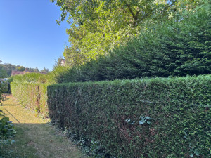 Photo de galerie - Avant 