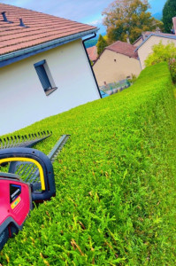 Photo de galerie - Taille de haies et d'arbustes