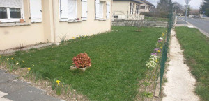 Photo de galerie - Aménagement jardin, entretien d'espace vert , taille d'arbres et plantation  