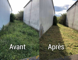 Photo de galerie - Petite remise en état ?