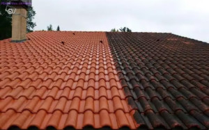 Photo de galerie - Nettoyage de toiture