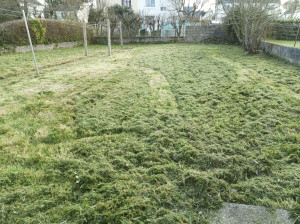 Photo de galerie - Tonte de pelouse - Débroussaillage