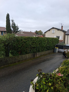 Photo de galerie - Taille de haies et d'arbustes