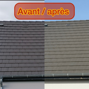 Photo de galerie - Remplacement de deux tuiles cassées - intervention rapide 