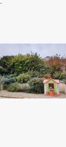Photo de galerie - Embellissement jardin 