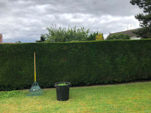 Photo de galerie - Haie