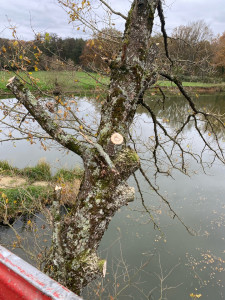 Photo de galerie - Pendant l’intervention 
