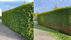 Photo de galerie - Avant / Après