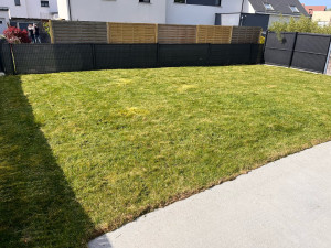 Photo de galerie - Tonte pelouse 