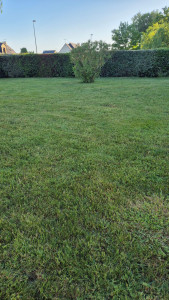 Photo de galerie - Tonte du jour 