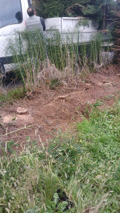 Photo de galerie - Paysagiste - Aménagement du jardin