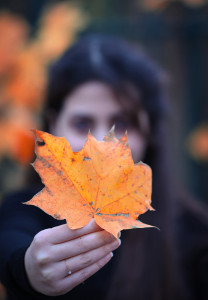 Photo de galerie - Photographe