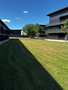 Photo de galerie - Tonte d’une pelouse de résident 