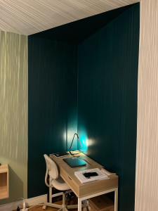 Photo de galerie - Mise en peinture en vert abysse velours d'un coin bureau en trompe l'œil murs et plafond.