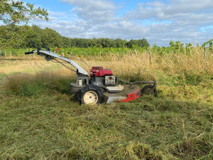 Photo de galerie - Tonte de pelouse - Débroussaillage