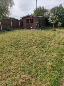 Photo de galerie - Tonte de pelouse - Débroussaillage