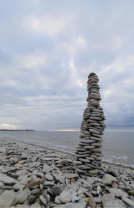 Photo de galerie - Livraison de courses