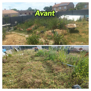 Photo de galerie - Avant débroussaillage du Jardin 
