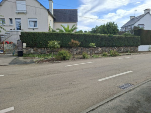Photo de galerie - Taille de haie