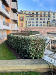 Photo de galerie - Eleagnus 