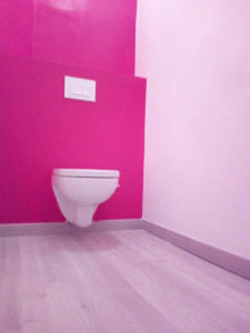 Photo de galerie - Toilette 