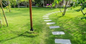 Photo de galerie - Voilà 