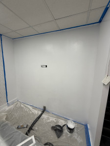 Photo de galerie - Peinture - Tapisserie