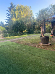 Photo de galerie - Tonte et restauration de jardin 