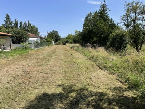 Photo de galerie - Tonte de pelouse - Débroussaillage