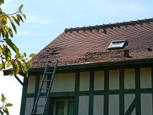 Photo de galerie - Retrait de mousse à la main avant daleep 2000