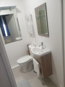 Photo de galerie - Pose meuble vasque plus wc