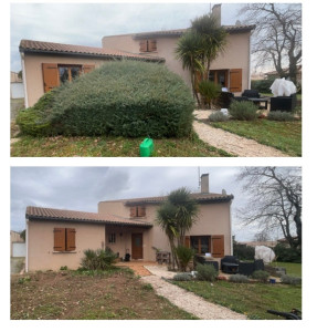 Photo de galerie - Abattage 