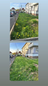 Photo de galerie - Coup de fraîcheur 