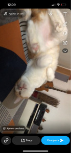 Photo de galerie - Ronflex 2