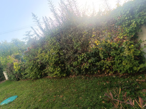 Photo de galerie - Paysagiste - Aménagement du jardin