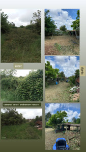 Photo de galerie - Enlèvement des ronciers de 3m de haut