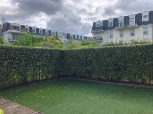 Photo de galerie - Taille et finition d’une haies