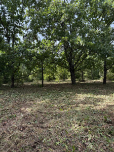 Photo de galerie - Chantier de débroussaillage sur la commune de Cazouls les Beziers 