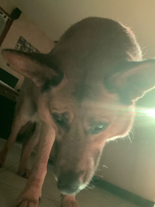 Photo de galerie - .