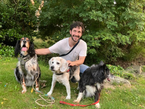 Photo de galerie - Une semaine intense avec 3 toutous dynamiques :) ! 