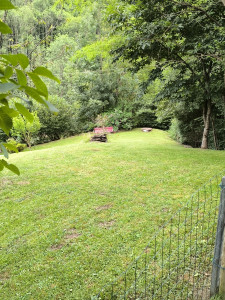 Photo de galerie - Tonte et débroussaillage d'un terrain un peu en pente