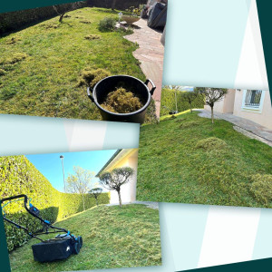 Photo de galerie - Scarification